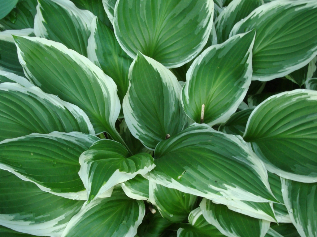 How to Keep Your Spring Cleaning Earth-Friendly